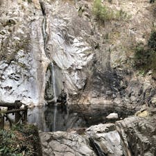 布引の滝🐳
#布引の滝 #神戸