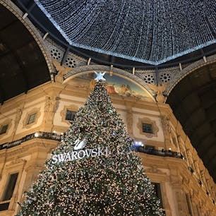 イタリア ミラノ🇮🇹
クリスマスの時期🎄