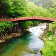 栃木県日光市にある神橋です。

有料で向こう岸まで渡れますが、向こう岸は通行止めになっていて、
Uターンして戻らないと出られないように柵がしてあります。