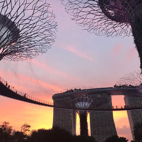 ガーデンズ・バイ・ザ・ベイ