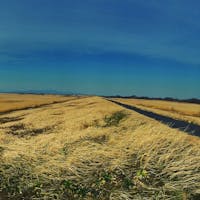 サイクリング日和です!
日差しが心地良い
#渡良瀬緑地