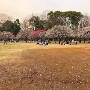 砧公園