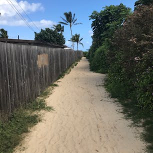 ハワイ
この細道を抜ければラニカイビーチ