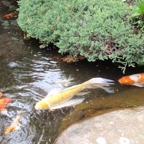 寝姿山自然公園