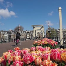 アムステルダム・マヘレの跳ね橋