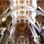 #サグラダ・ファミリア #バルセロナ #スペイン
2017年2月

外観と内観のギャップがたまらない🥺🥺

綺麗なだけじゃなくこだわり抜かれた究極の建築✨
木に見立てられた柱と天井🌳にステンドグラスの光が
降り注ぐ光景はこの上なく素敵でした...