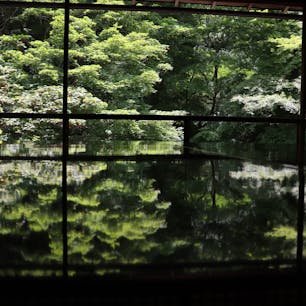 瑠璃光院春の特別拝観