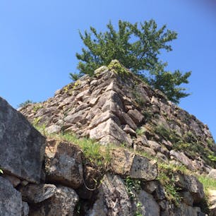 竹田城跡です。