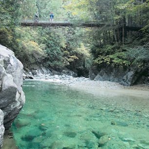 阿寺渓谷青かった
インスタで検索すると水着ギャルがいっぱい出てくる