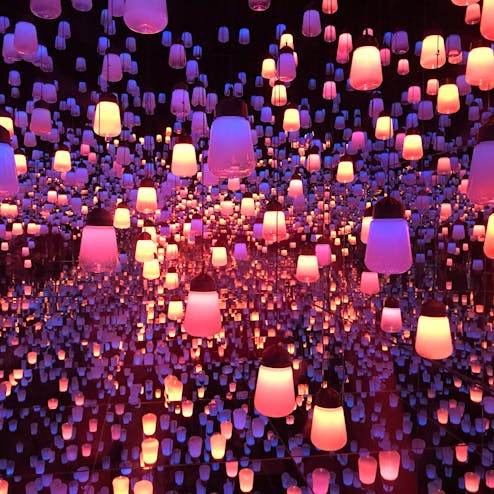 【閉業】森ビルデジタルアートミュージアム エプソンチームラボ ボーダレス