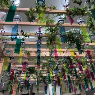 タカシマヤ ゲートタワーモールの風鈴涼しげでした。