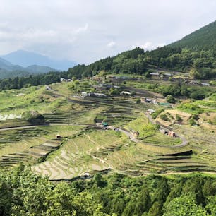 丸山千枚田@三重熊野