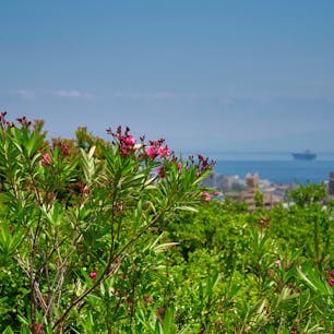 須磨離宮公園 月見台