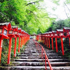 ようやく行けた貴船神社。想像してたより小さな神社でしたが、山の中なので自然豊かで気持ちの良い場所でした。