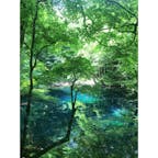 五能線にて白神山地。絶賛迷い中。