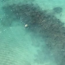 ハワイ★オアフ
ワイキキビーチのホヌ★

どーこだ？笑♪