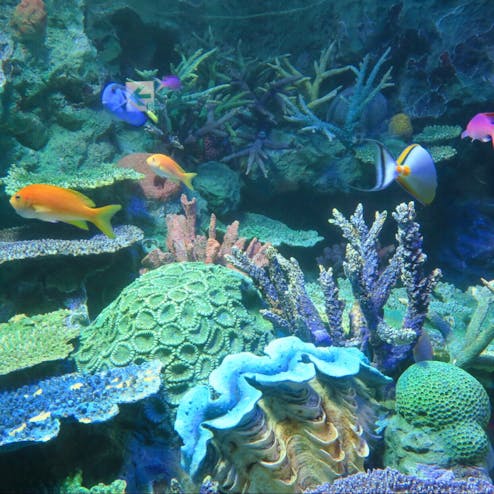 サンシャイン水族館