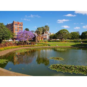シドニーのビクトリアパーク。紫色の花、ジャカランダが綺麗でした。

#シドニー #公園