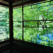 瑠璃光院