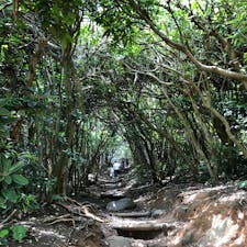 糸島市の北西端に位置する芥屋の大門（けやのおおと）“トトロの森”は展望台入口でした。