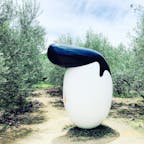 小豆島 オリーブリーゼント