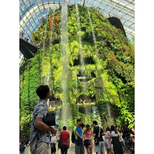 📍シンガポール

クラウドフォレストでパシャり📸🌳
#Singapore #シンガポール
#ガーデンバイザベイ #gardensbythebay