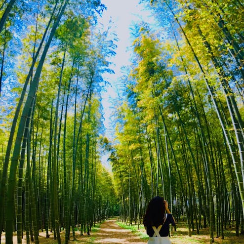 若竹の社 若山農場