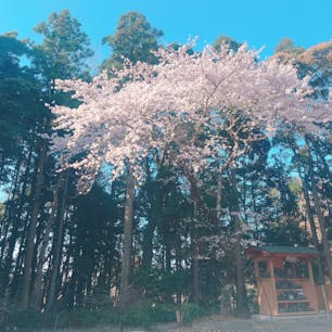 鳥羽の石神様。女性の願いを１つだけ叶えてくれるよ。