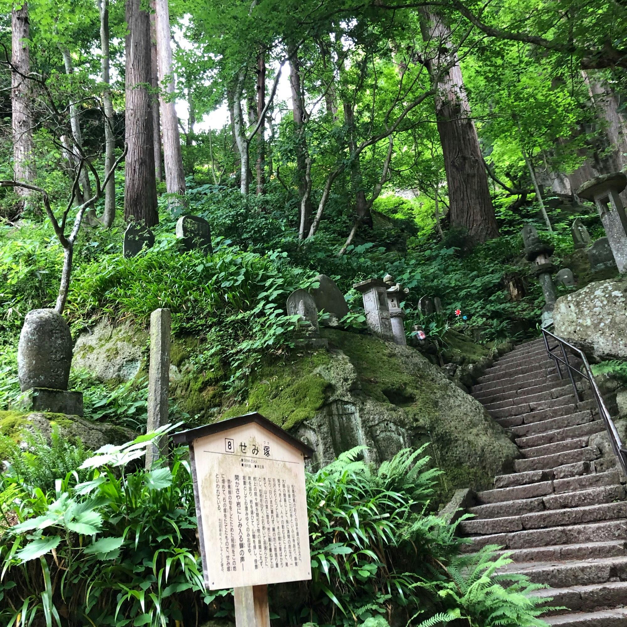静か さや 岩 に しみ入る 蝉 の 声 意味 ニュース ニュース 静か さや 岩 に しみ入る 蝉 の 声 意味 ニュース ニュース