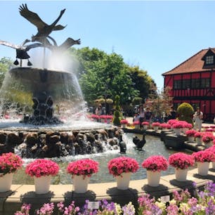 #ふなばしアンデルセン公園 #船橋 #千葉
2017年5月