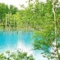 北海道美瑛の青い池
天候はあいにくの曇り空でしたが
池は青く輝いてました

#北海道 #美瑛 #北海道自然 #北海道旅行 #青い池 #一人旅