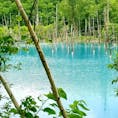 北海道自然旅行
青い池2