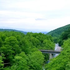 しらひげの滝を撮った橋の反対側から撮った写真  

#北海道 #北海道旅行 #北海道自然 #美瑛 #しらひげの滝