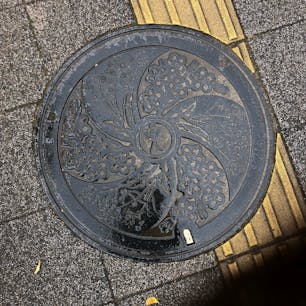 茨城県みらい平です