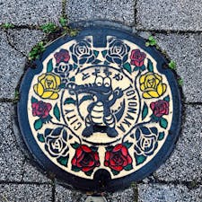 豊中市 マンホール
マチカネワニくんと
市の花 バラ🌹