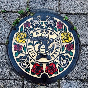 豊中市 マンホール
マチカネワニくんと
市の花 バラ🌹