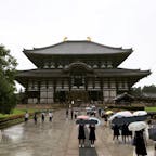 2019.6.27
奈良県東大寺

台風3号の影響か大雨☔☔