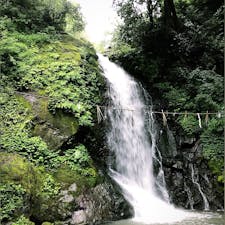 2019.6.28
福井県 一乗滝