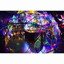 奈良にある金魚ミュージアム🐡
しかしこの写真には金魚感が
全くないのですが
金魚ミュージアムなのです(笑)