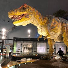 2019.6.28
福井県立恐竜博物館

大人一人で行っても大興奮😇