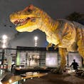 2019.6.28
福井県立恐竜博物館

大人一人で行っても大興奮😇