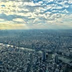 スカイツリーからの風景
