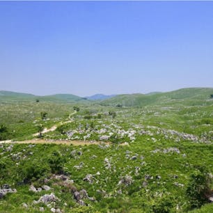 #秋吉台 #美弥 #山口
2017年5月