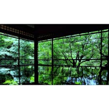 6月30日まで公開されていた瑠璃光院