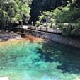 日本の名水百選に選ばれている別府弁天池です。この池の美しさは言葉も出ませんよ。近くには食事処もあり、珍しい鮎の刺身も頂けます^ ^