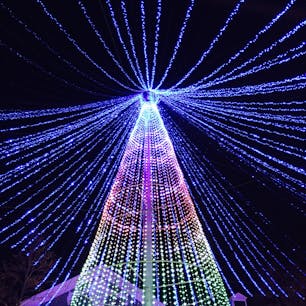 ハウステンボス
佐世保