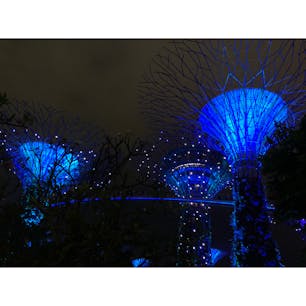 in Singapore 🇸🇬

-ガーデンズ・バイ・ザ・ベイ‐

毎晩2回行われる10分間の幻想的なショーは時間を忘れるほど圧巻✨

夜景スポットにはかかせないっ(*´∨｀* )