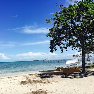 🇵🇭セブ/フィリピン