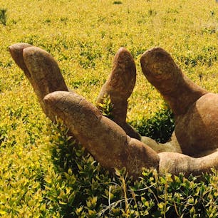 陶芸の森/信楽/滋賀