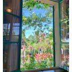 ジベルニー モネの庭
モネの家の窓から
お花好きな方はぜひ🌸
睡蓮が有名ですが、家の前のお庭と内装もとってもステキです。